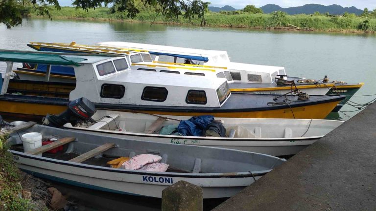 Navua Wharf (11)