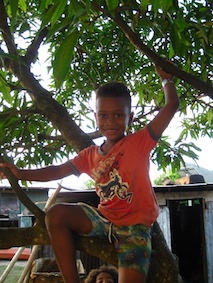 experts in climbing trees